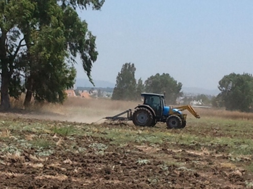 (צילום:מנהל מקרקעי ישראל)